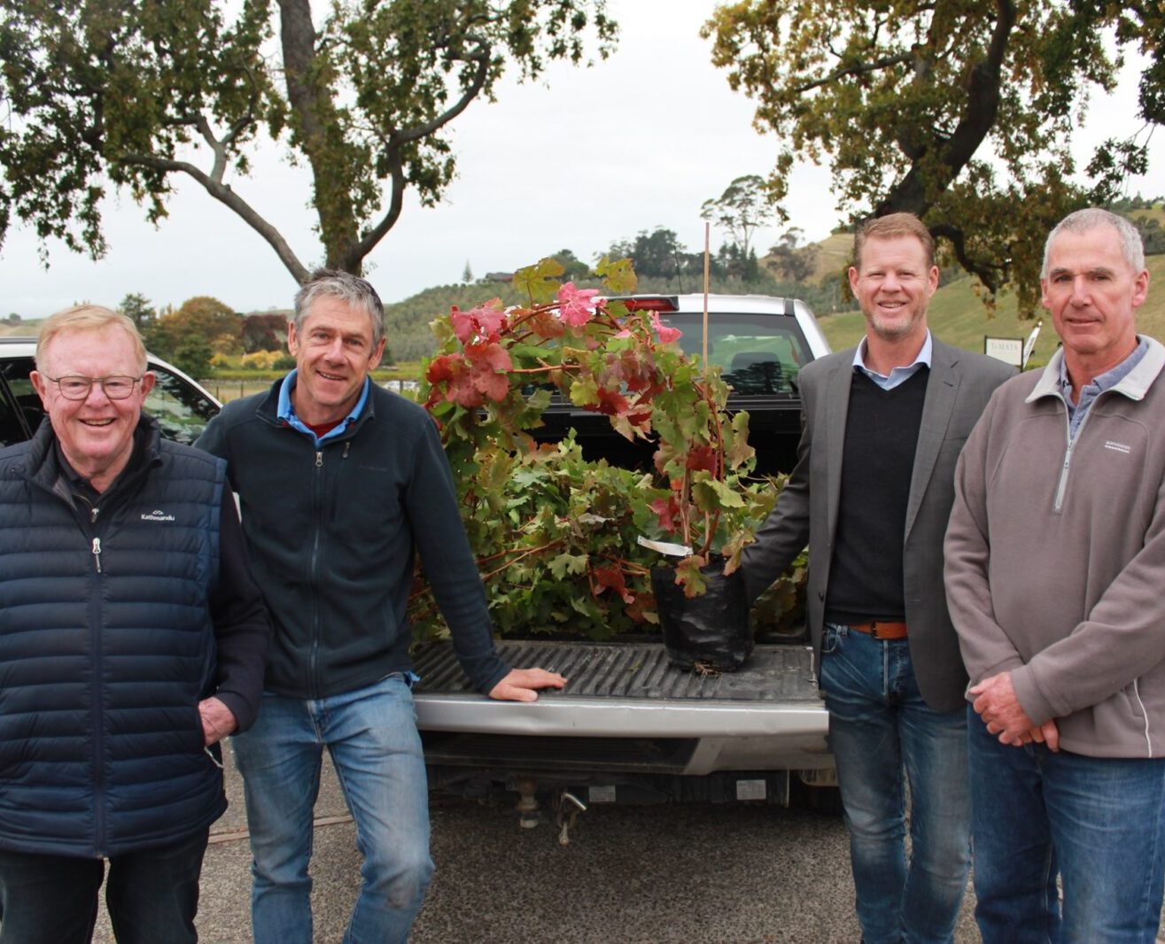 Latest Cabernet Clones