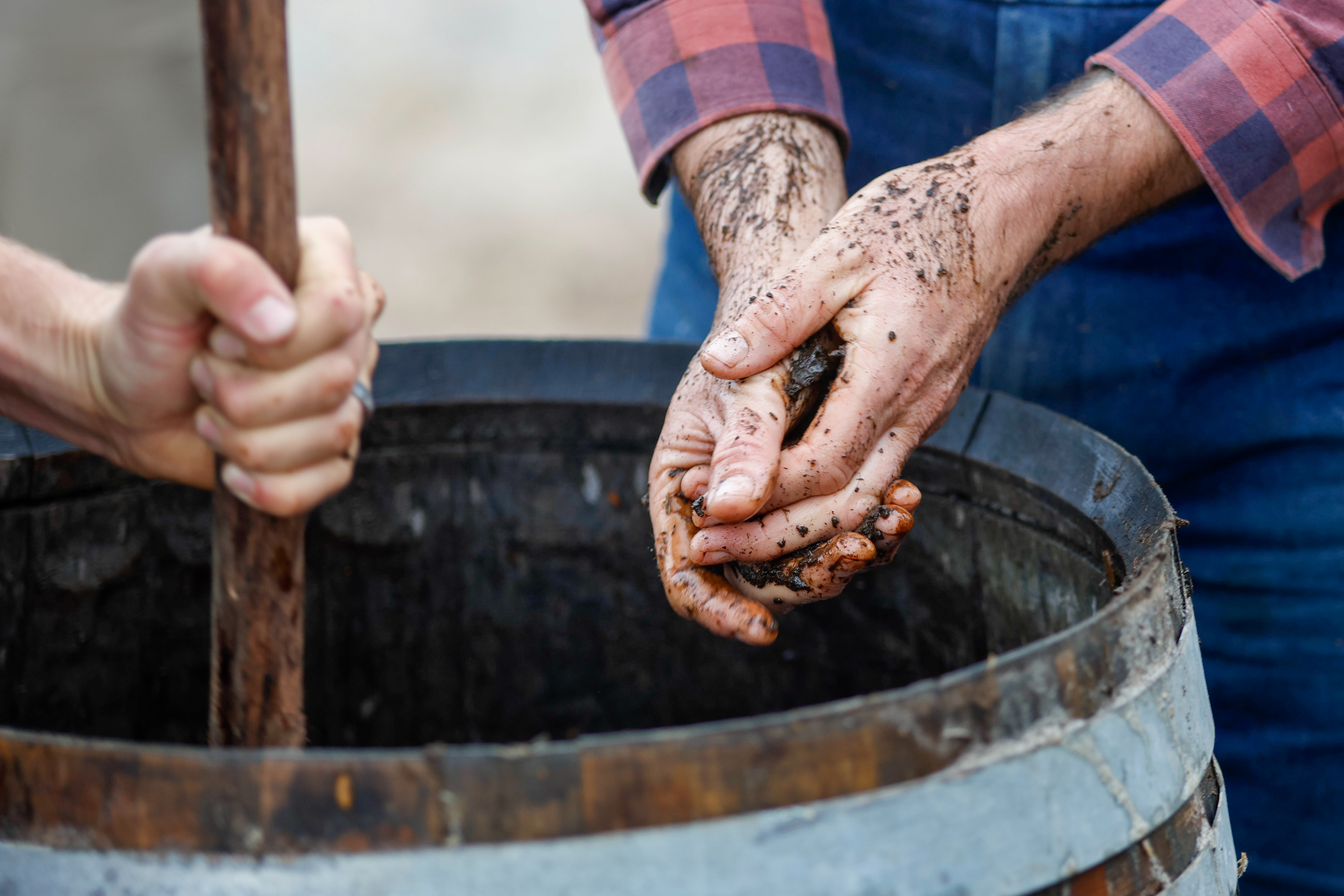 Beyond Biodynamics