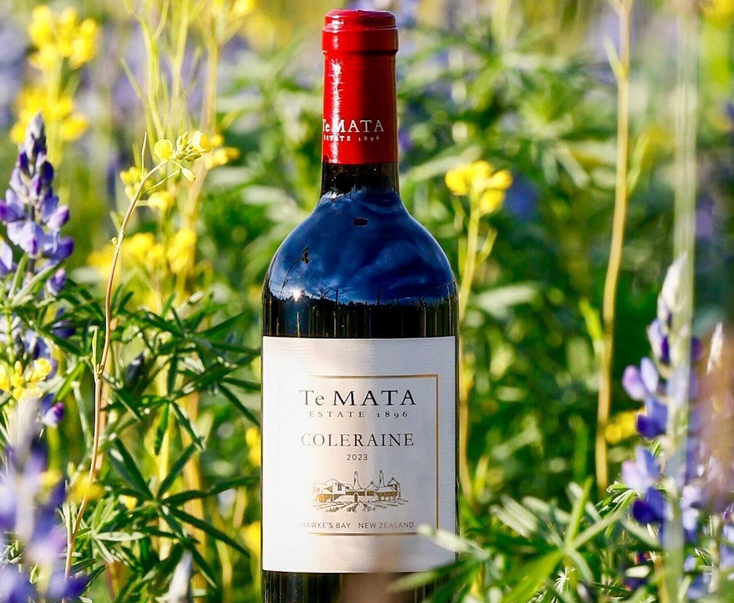 Top 20 Wines of NZ 2025