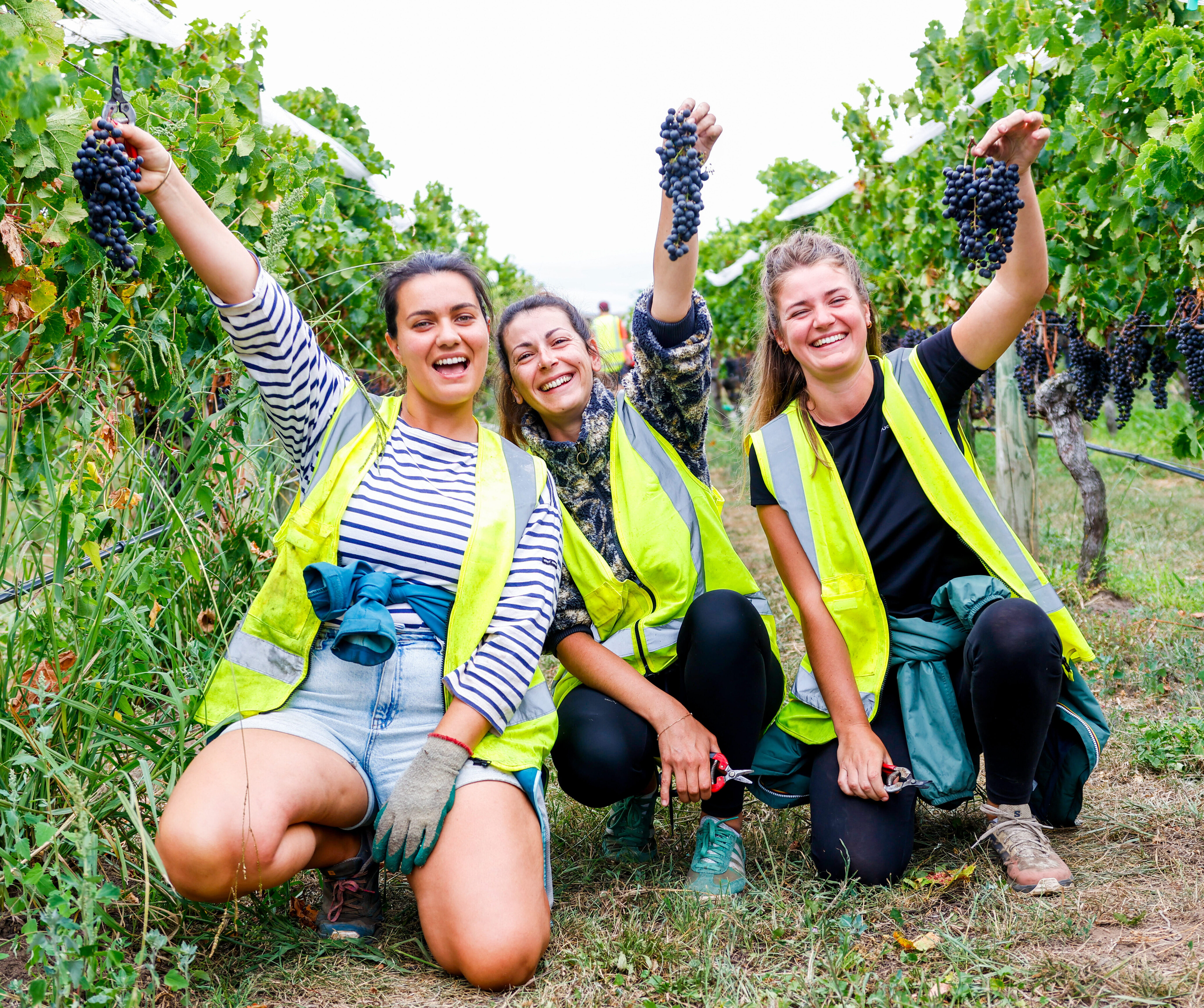 2024 The Holy Grail?