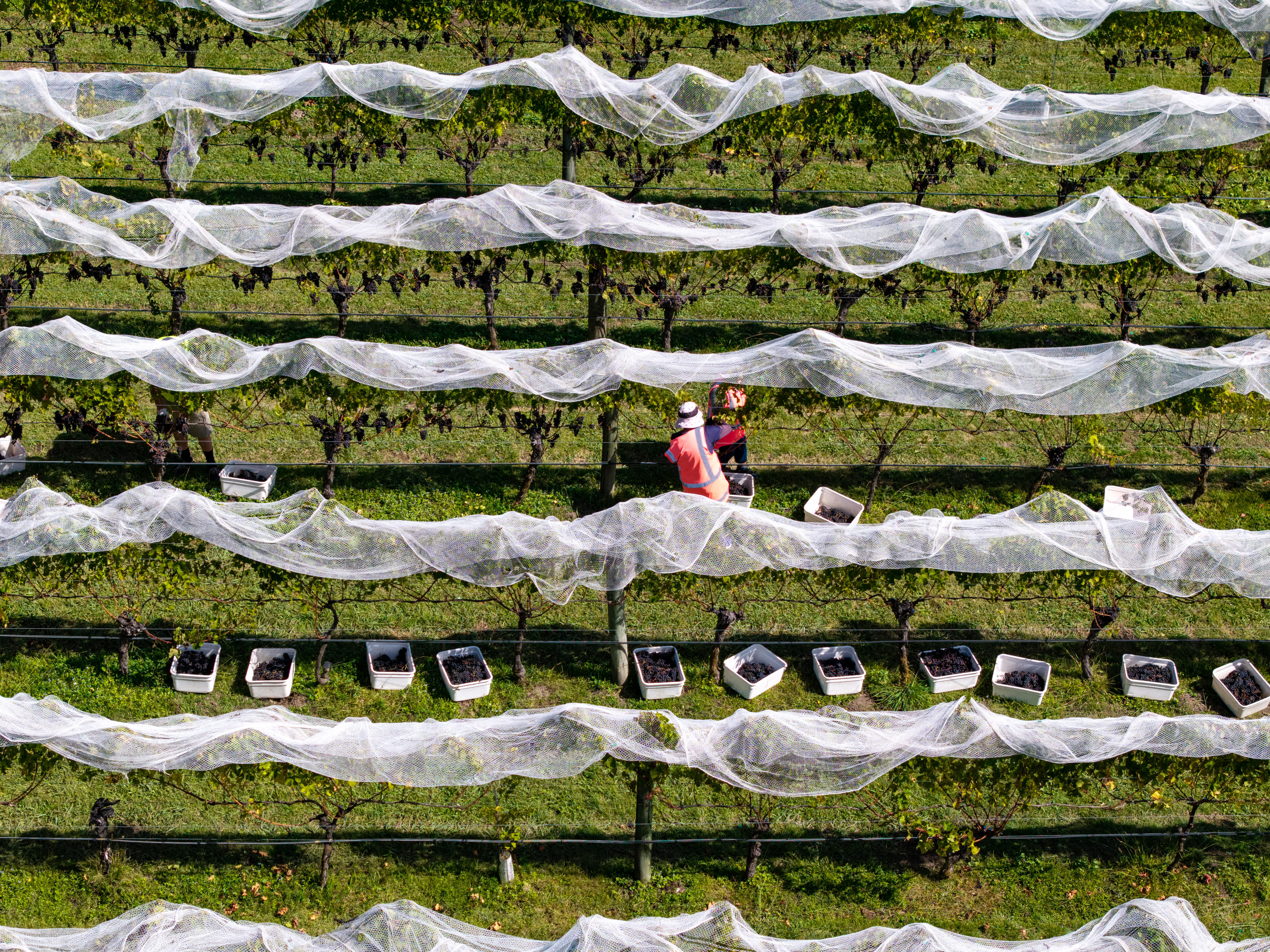 2024 The Holy Grail?