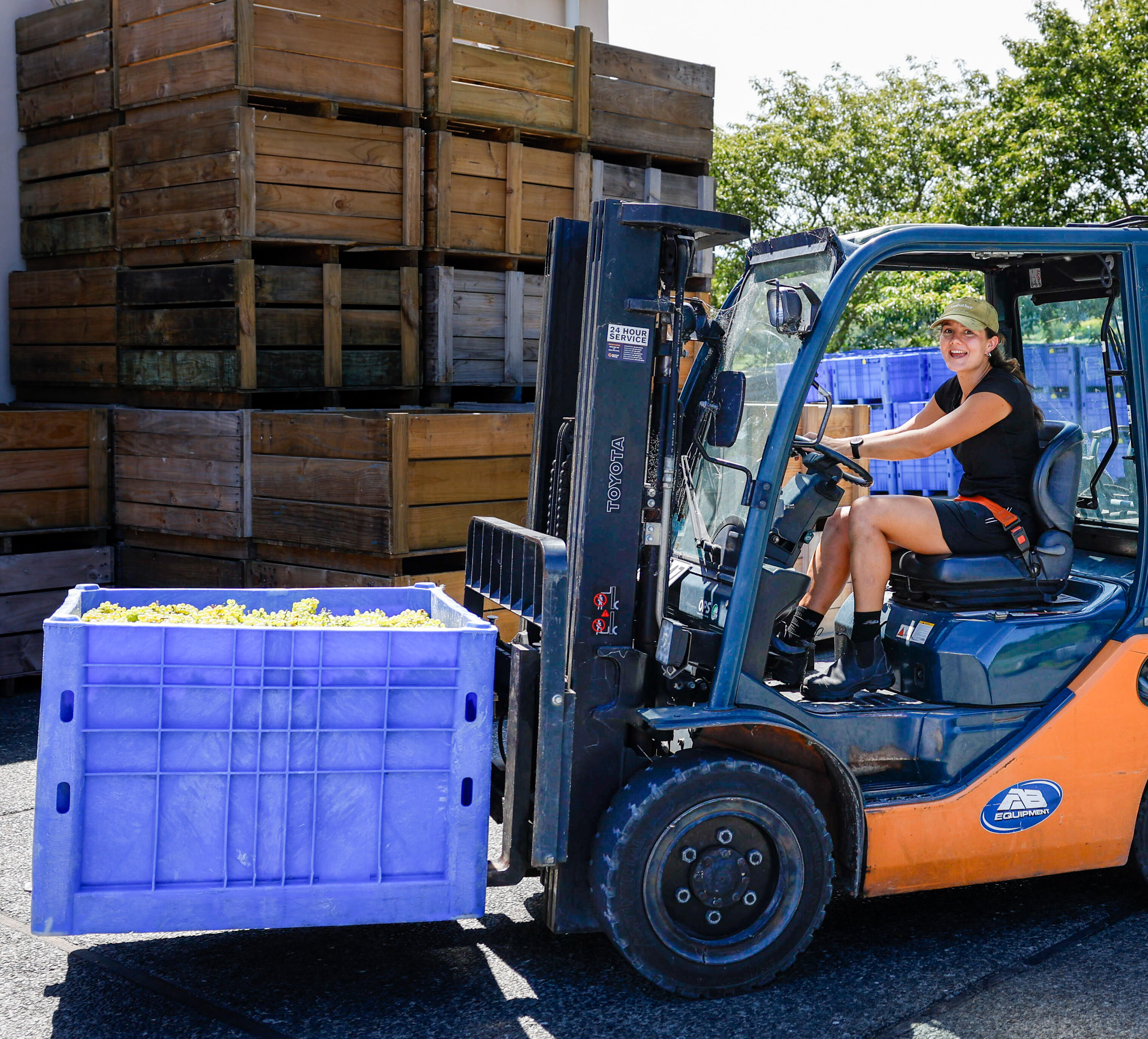 2 x Top NZ Wines of 2025